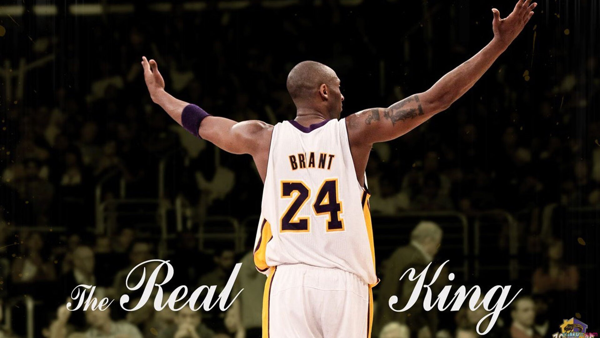 APEX英雄 冠军积分变动 多支队伍命悬一线，apex比赛冠军